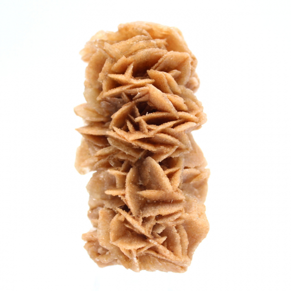 Rosa de areia fóssil da Tunísia