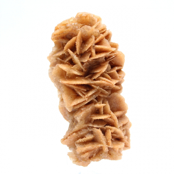 Rosa de areia fóssil da Tunísia