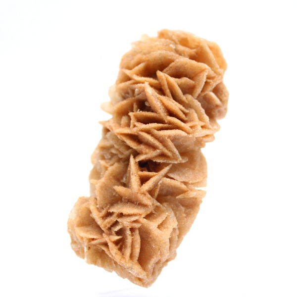 Rosa de areia fóssil da Tunísia