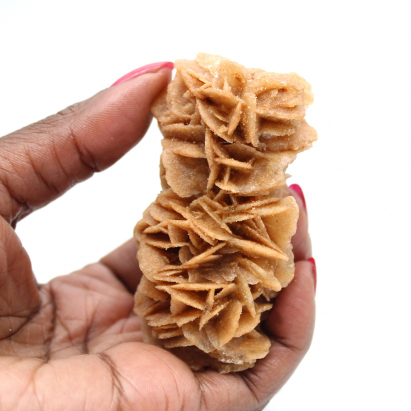 Rosa de areia fóssil da Tunísia