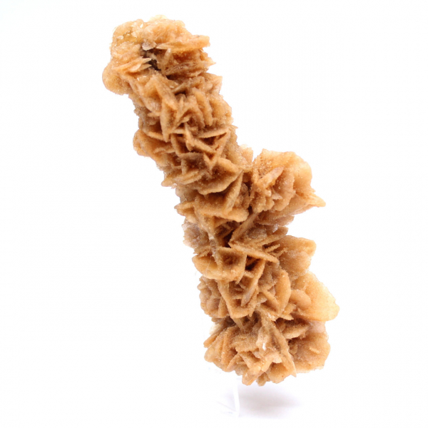 Rosa de areia decorativa Tunísia