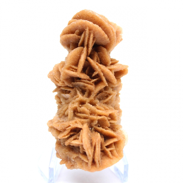 Rosa de areia crua autêntica da Tunísia