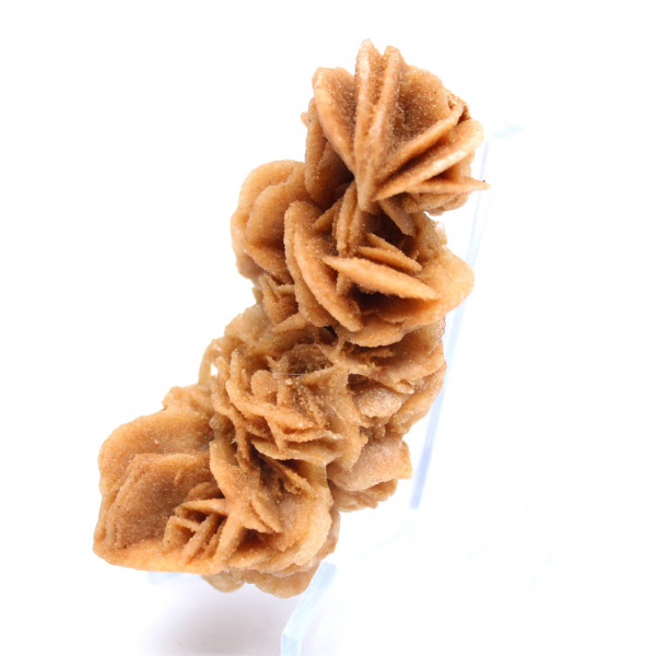 Rosa de areia crua autêntica da Tunísia