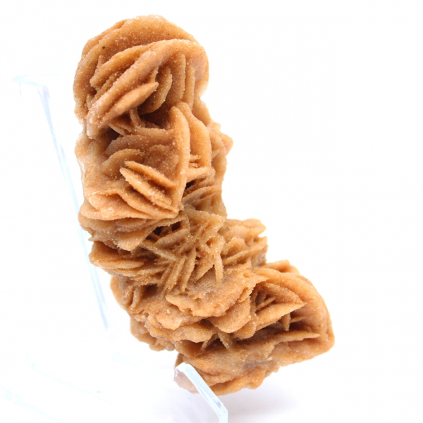 Rosa de areia crua autêntica da Tunísia