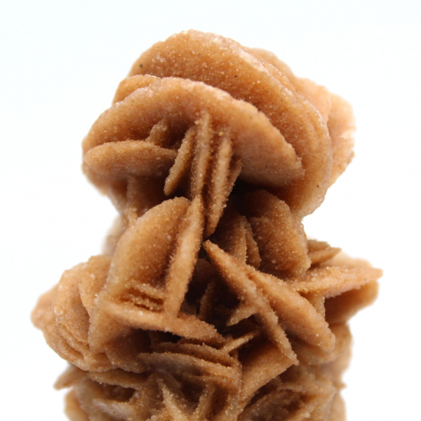 Rosa de areia crua autêntica da Tunísia