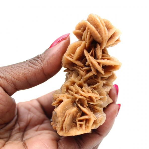 Rosa de areia crua autêntica da Tunísia