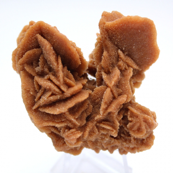 Rosa de areia mineral natural da Tunísia