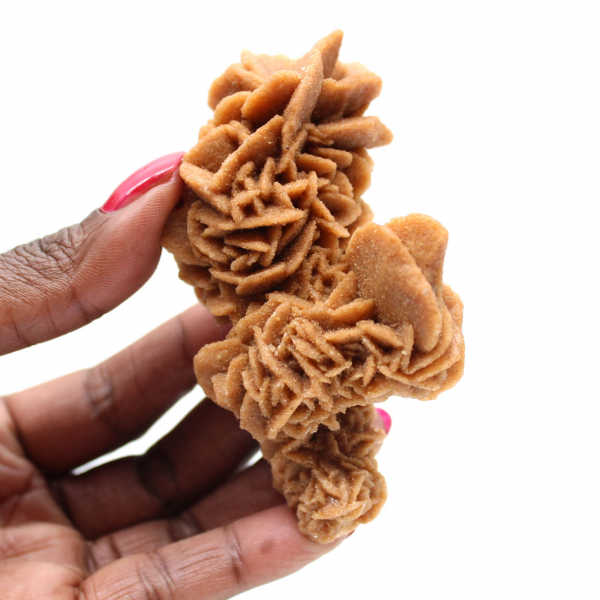 Rosa de areia crua da Tunísia