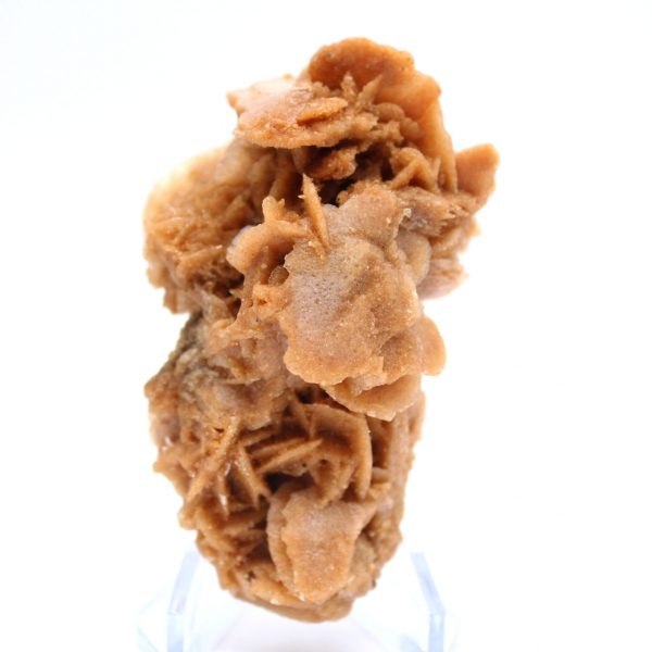 Bloco de areia rosa natural Tunísia