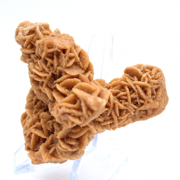 Rosa de areia cristalizada original