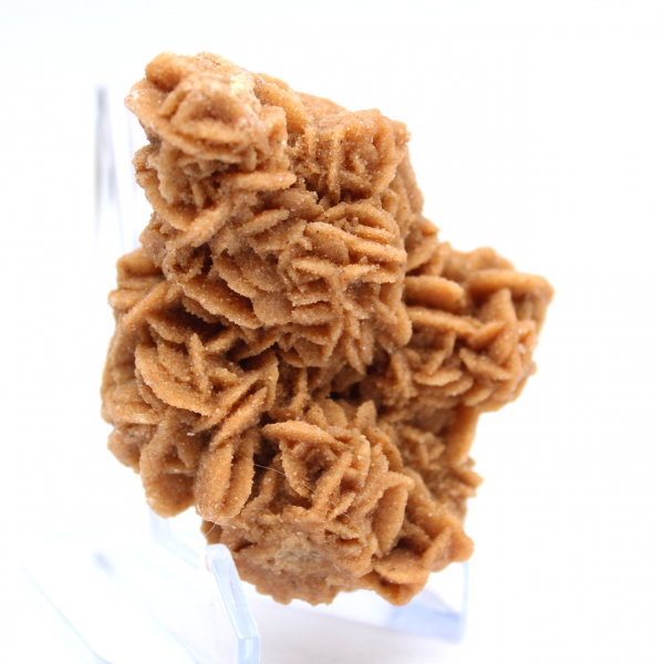 Rosa de areia cristalizada original