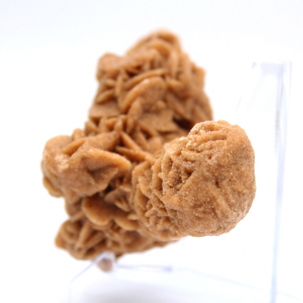 Rosa de areia cristalizada original