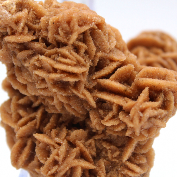 Rosa de areia cristalizada original