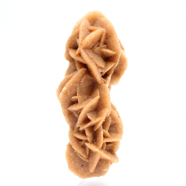 Coleção Rose des sables da Tunísia