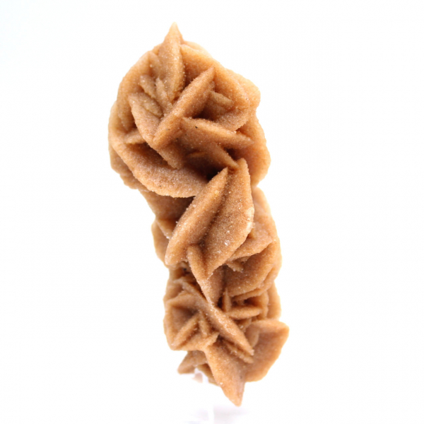 Coleção Rose des sables da Tunísia