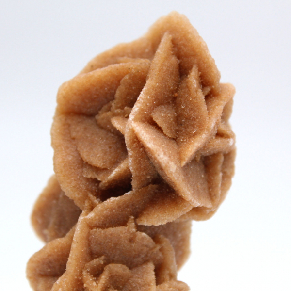 Coleção Rose des sables da Tunísia