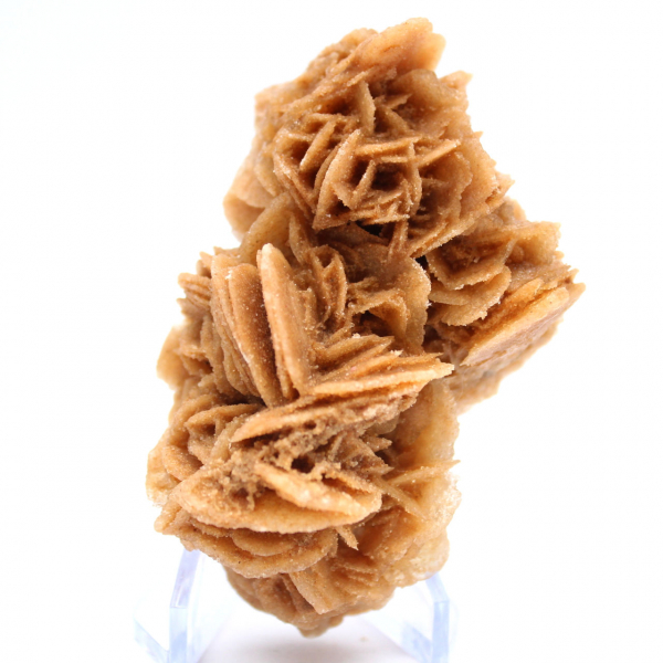 Rosa de areia natural da Tunísia