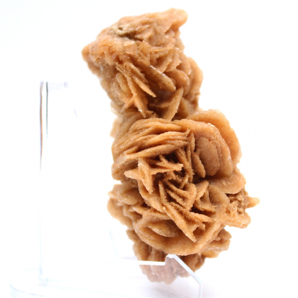 Rosa de areia natural da Tunísia