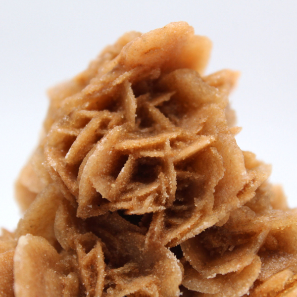 Rosa de areia natural da Tunísia