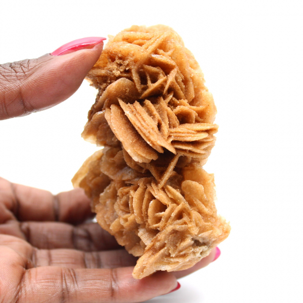 Rosa de areia natural da Tunísia