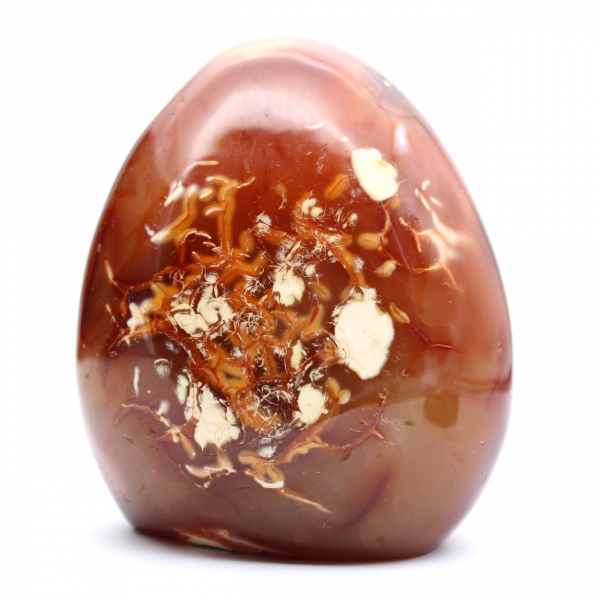 Decoração de ornamento de cornalina polida - mineral natural de Madagascar para colecionadores