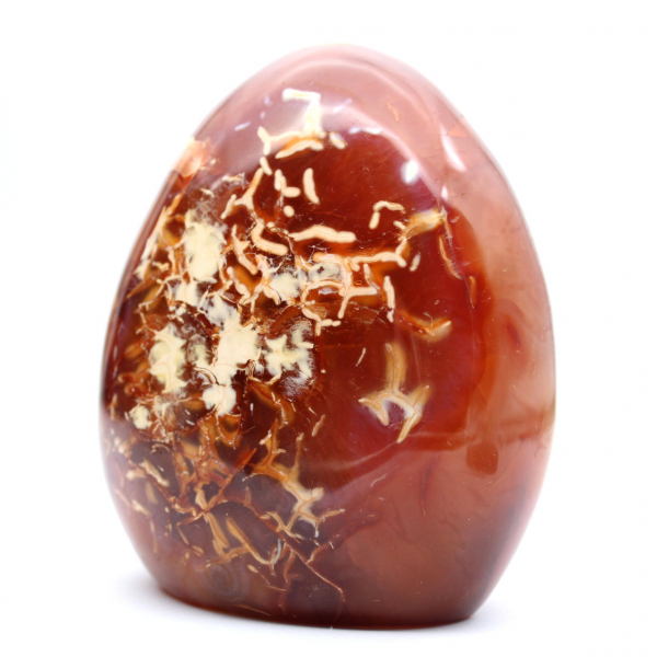 Decoração de ornamento de cornalina polida - mineral natural de Madagascar para colecionadores