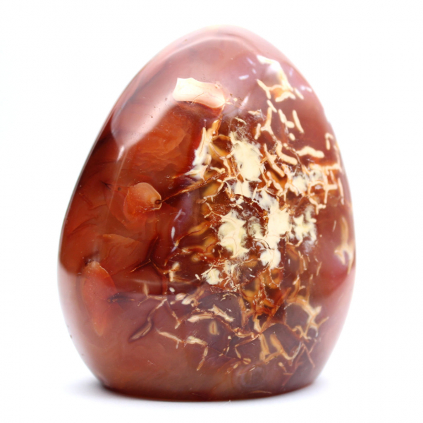 Decoração de ornamento de cornalina polida - mineral natural de Madagascar para colecionadores