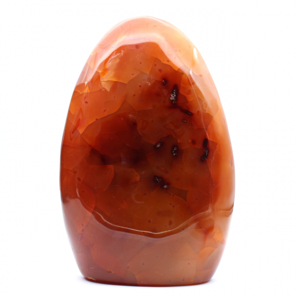 Cornalina polida XXL Madagascar - Pedra decorativa vermelho-alaranjada autêntica (ornamento)
