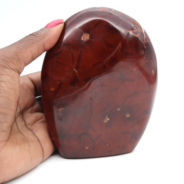 Ornamento de cornalina polida de qualidade - Mineral natural colecionável (Madagascar)