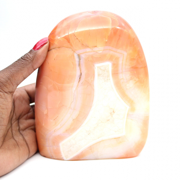 Grande cornalina polida de Madagascar - espécime mineral vermelho-alaranjado para coleção e decoração