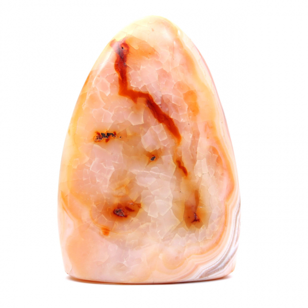 Cornalina polida de Madagascar - espécime de pedra natural para decoração e ciência