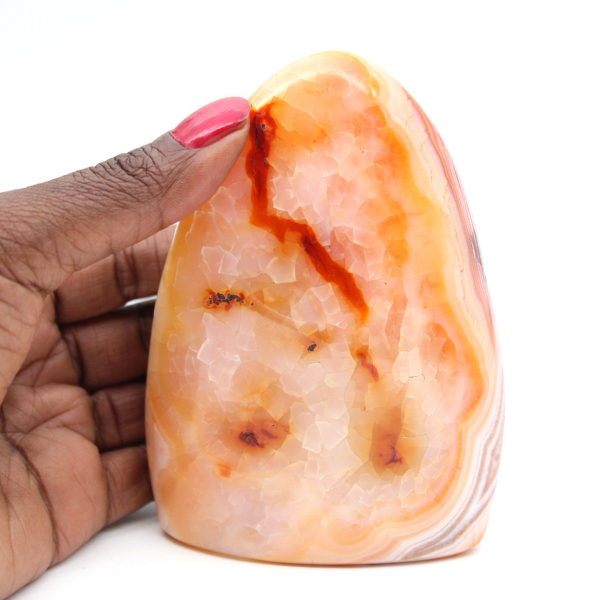 Cornalina polida de Madagascar - espécime de pedra natural para decoração e ciência