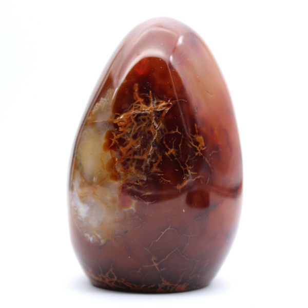 Ornamento autêntico de cornalina polida de Madagascar - mineral decorativo e colecionável