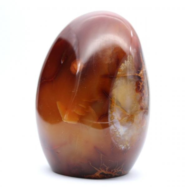 Ornamento autêntico de cornalina polida de Madagascar - mineral decorativo e colecionável