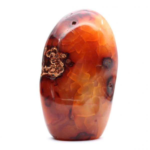 Cornalina de Madagascar polida - espécime decorativo e científico (pedra natural)