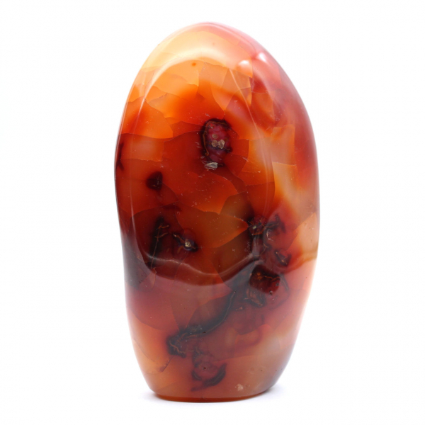 Cornalina de Madagascar polida - espécime decorativo e científico (pedra natural)