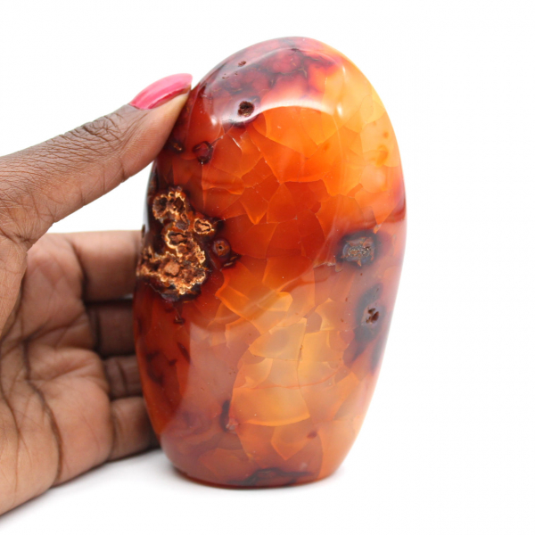 Cornalina de Madagascar polida - espécime decorativo e científico (pedra natural)