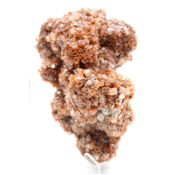 Aragonita marroquina em cristais marrons