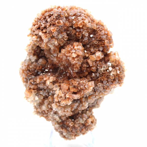 Aragonita marroquina em cristais marrons