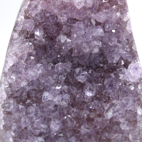 Drusa de Ametista Brasileira – Espécime de Resistência Geológica