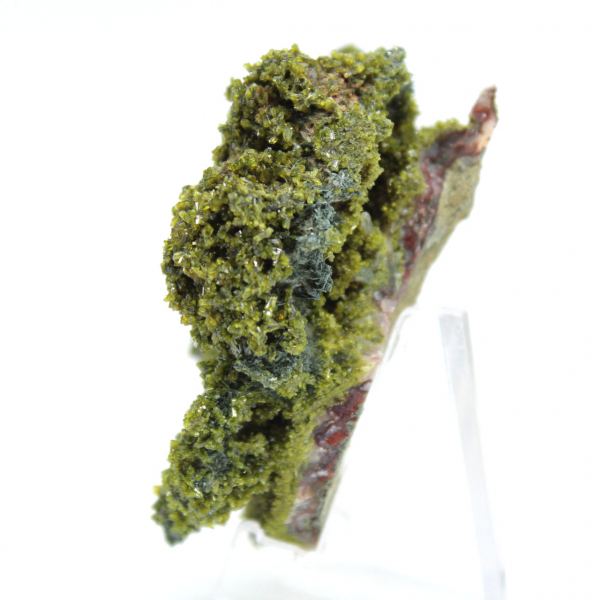 Epidoto marroquino sobre matriz transparente