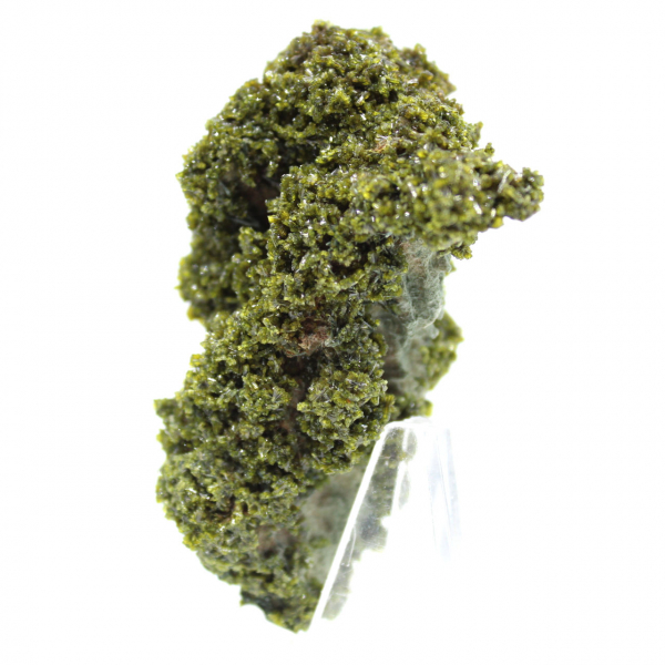 Cristais de epidoto de Marrocos em matriz bege