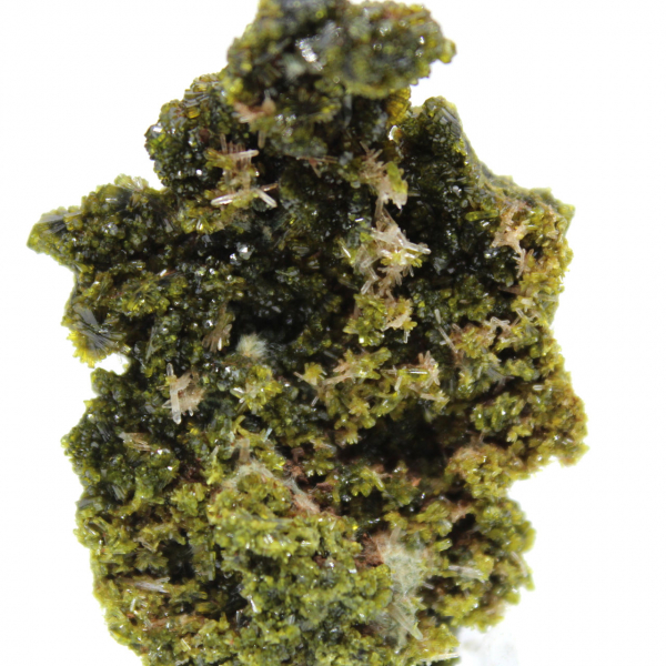 Pequena epidota sobre matriz clara proveniente de Marrocos.