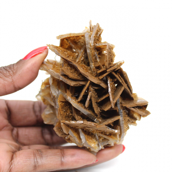 Pequena barita marrom marroquina