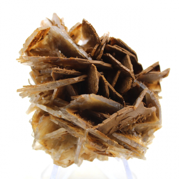 Pequena barita marrom marroquina