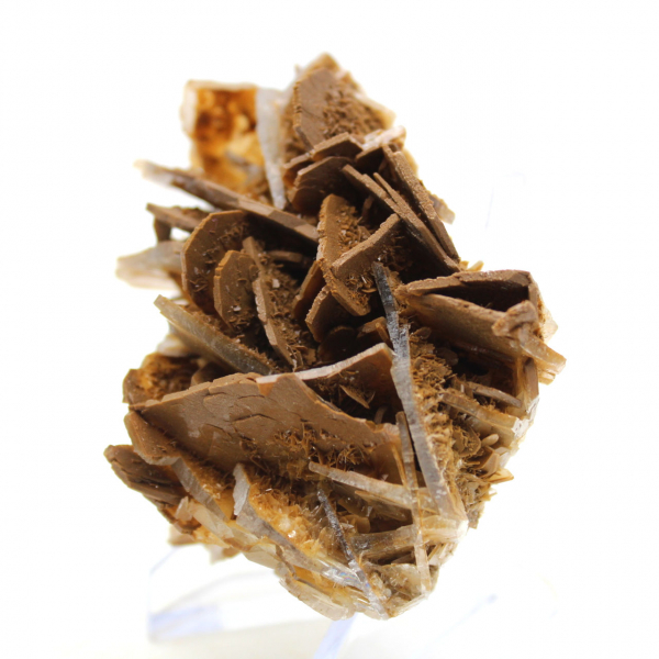 Pequena barita marrom marroquina