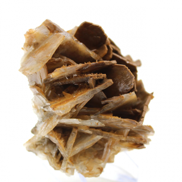 Pequena barita marrom marroquina