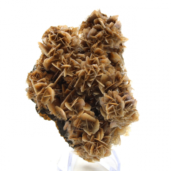 Barita marrom translúcida de Marrocos