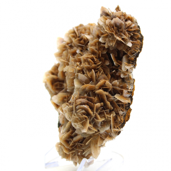 Barita marrom translúcida de Marrocos