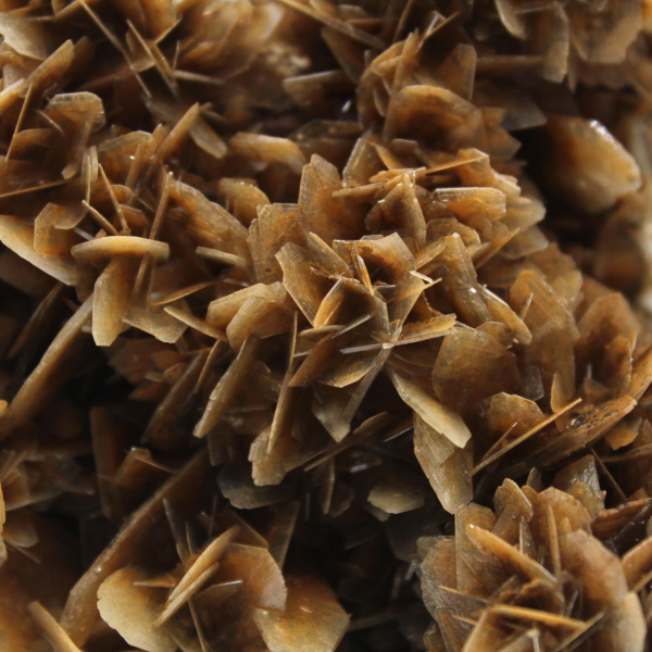 Barita marrom translúcida de Marrocos